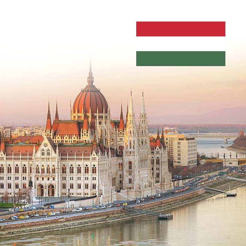 WhatsApp Image 2026-02-09 at 12.43.09 PM (11)