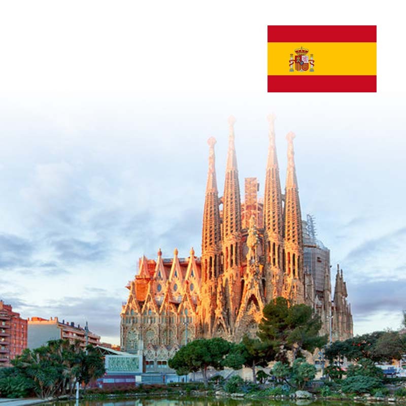 WhatsApp Image 2026-02-09 at 12.43.09 PM